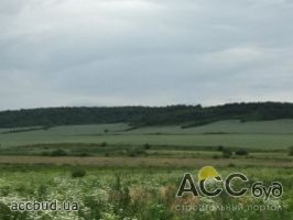 Луи Дрейфус приобрел 5 га земельного участка Одессы
