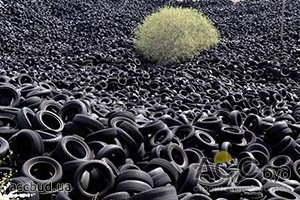 При экспорте в Бразилию с одной украинской покрышки будет взиматься дополнительная плата в размере $10