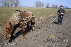 Правительство решило пересмотреть льготную систему налогообложения для сельхозпроизводителей!