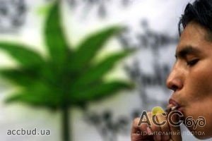 Для получения дополнительных налогов в Вашингтоне разрешили марихуану