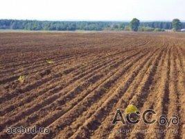 Граждане Украины смогут покупать не больше 100 га. земли для сельского хозяйства