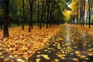 В сентябре с инфляцией в Украине образование подорожало на 2.7%