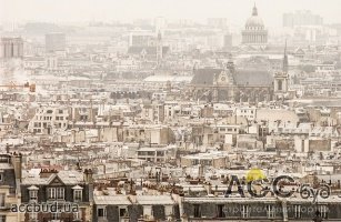Парижские крыши имеют возможность стать частью наследия ЮНЕСКО