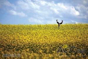 В Европе проходят кардинальные перестройки по поводу биотоплива
